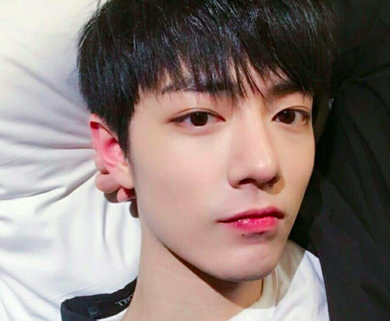 肖战|肖战新歌销量破吉尼斯纪录，上热搜后又秒撤，被评丢人丢到国外