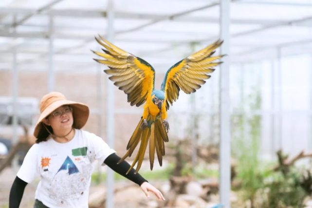 投资上亿丽水新增一个动物园