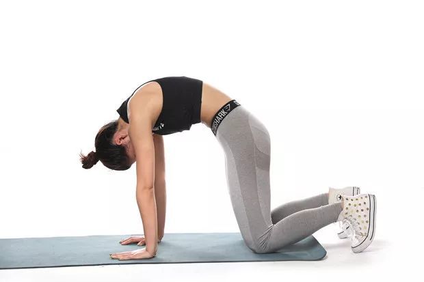 每天一个拉伸动作之下背部拉伸