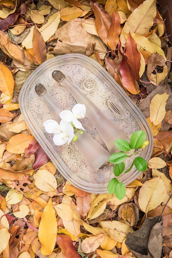 拍卖会|天涯若比邻—北美抗疫线上慈善拍卖会7月8日开拍！