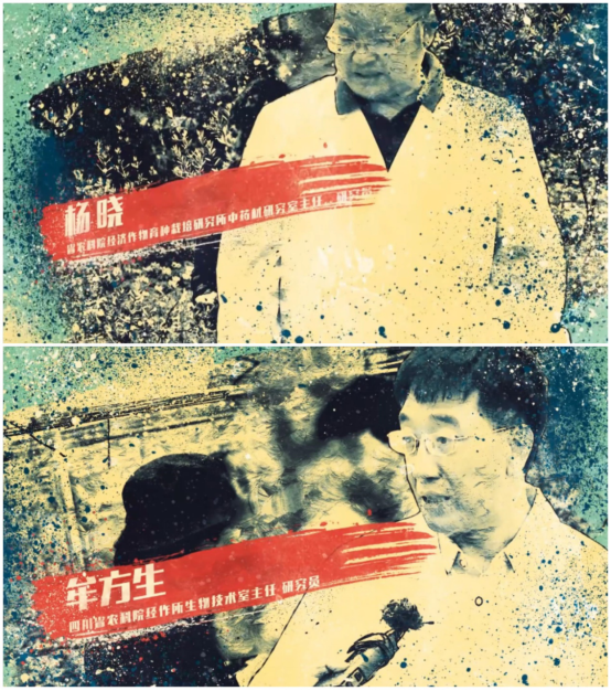 大豆|中药材栝楼与鲜食大豆套作高效绿色栽培技术