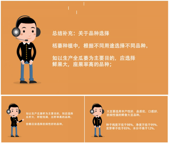 大豆|中药材栝楼与鲜食大豆套作高效绿色栽培技术