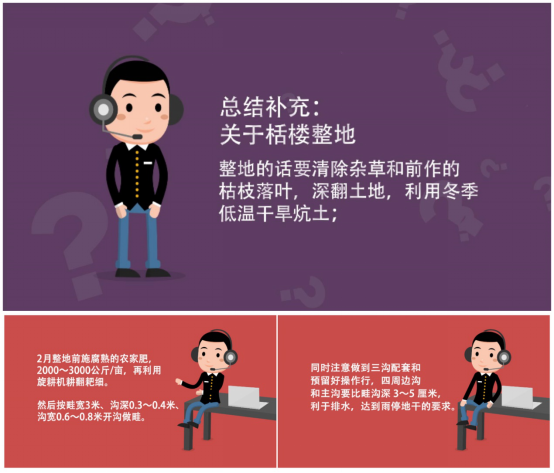 大豆|中药材栝楼与鲜食大豆套作高效绿色栽培技术