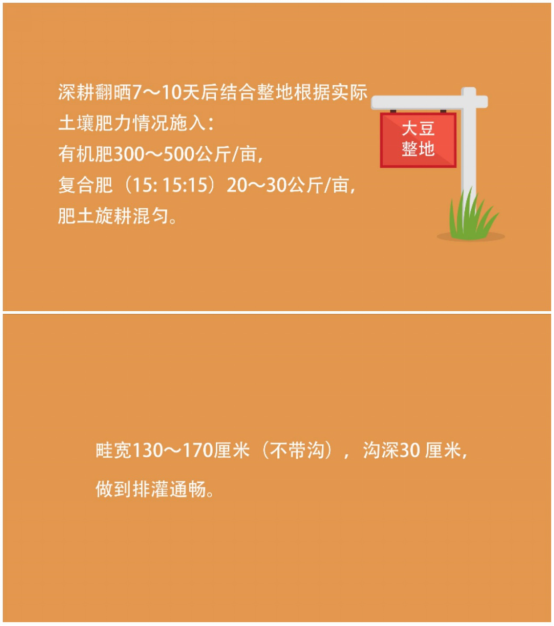 大豆|中药材栝楼与鲜食大豆套作高效绿色栽培技术