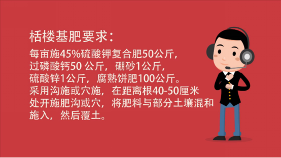大豆|中药材栝楼与鲜食大豆套作高效绿色栽培技术