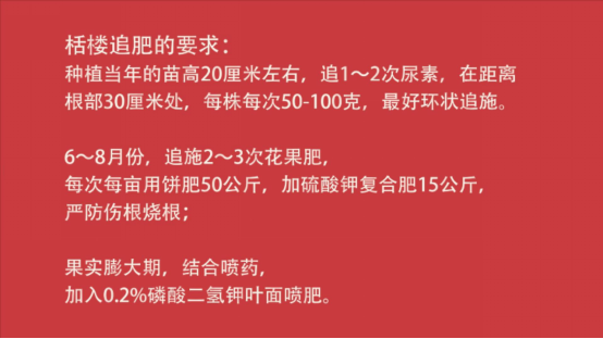 大豆|中药材栝楼与鲜食大豆套作高效绿色栽培技术