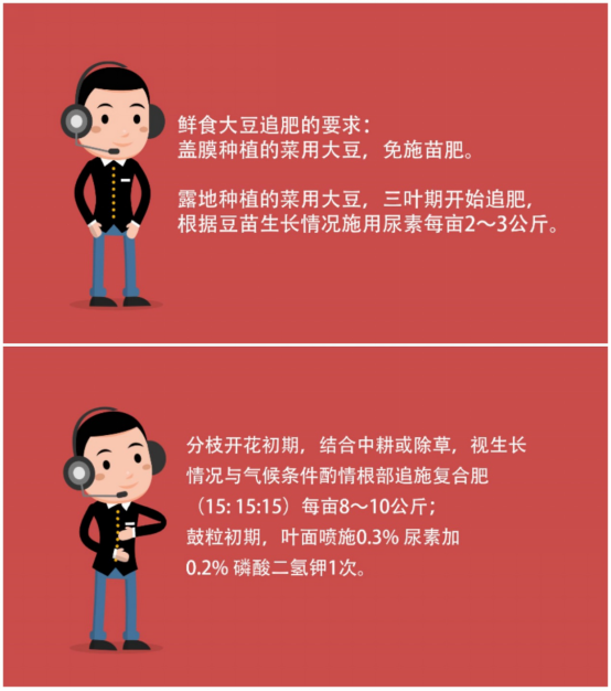 大豆|中药材栝楼与鲜食大豆套作高效绿色栽培技术
