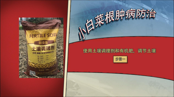 大豆|中药材栝楼与鲜食大豆套作高效绿色栽培技术