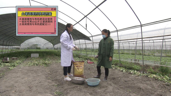 大豆|中药材栝楼与鲜食大豆套作高效绿色栽培技术