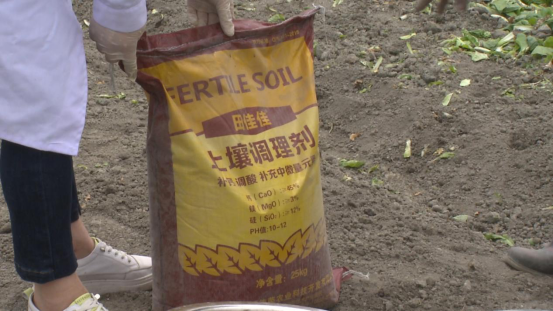 大豆|中药材栝楼与鲜食大豆套作高效绿色栽培技术