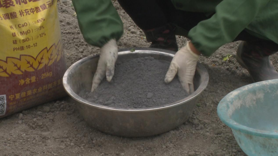 大豆|中药材栝楼与鲜食大豆套作高效绿色栽培技术