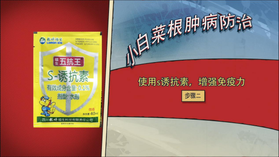 大豆|中药材栝楼与鲜食大豆套作高效绿色栽培技术