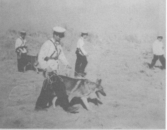 彭加木|彭加木为何要冒50℃高温去找水？