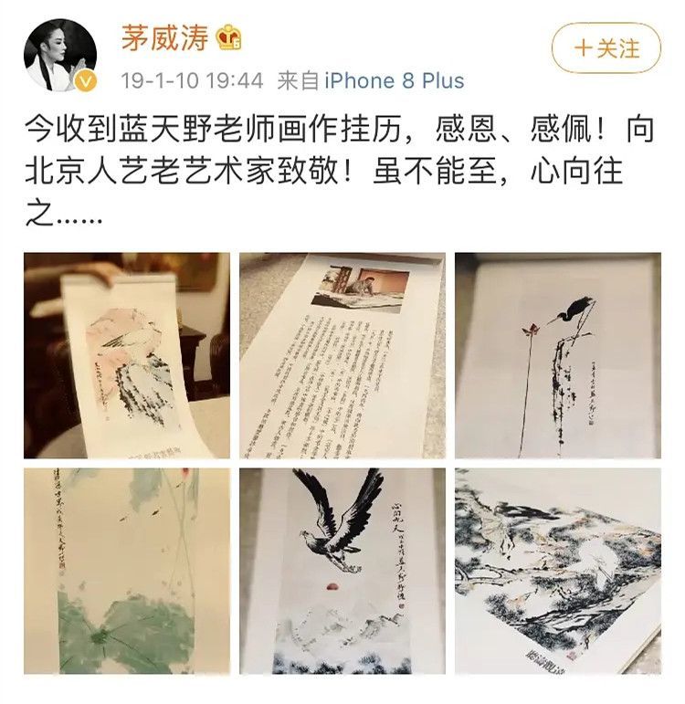 蓝盈莹|蓝盈莹“碰瓷”蓝天野？前任曹骏的评论和2处细节早已给出答案