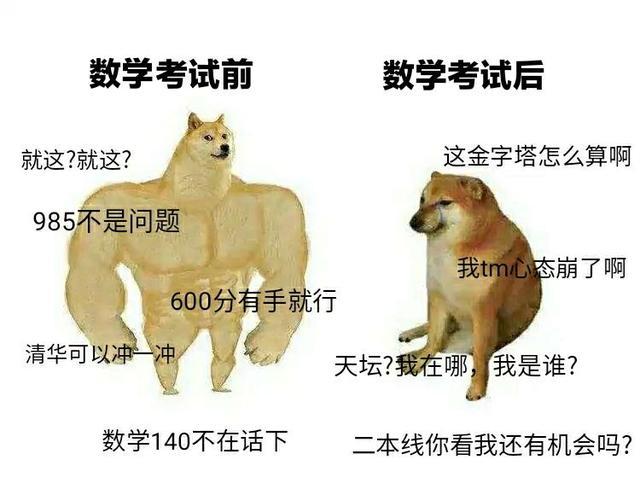 数学全国卷2难哭了 去年维纳斯今年金字塔 明年准备去哪里 腾讯新闻