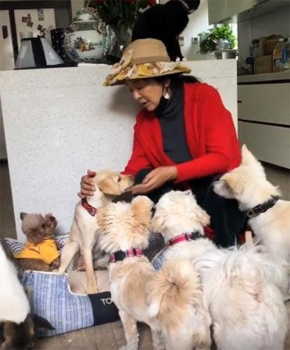 李勤勤|李勤勤：曾和郎平同学，嫁遍日本、欧、美，晒单身近况被嘲落魄