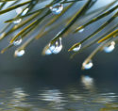 人民文学出版社|承认吧，有些书就是读不下去