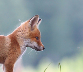 人民文学出版社|承认吧，有些书就是读不下去