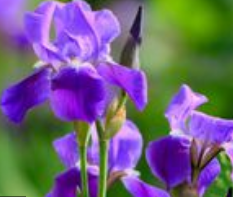 人民文学出版社|承认吧，有些书就是读不下去