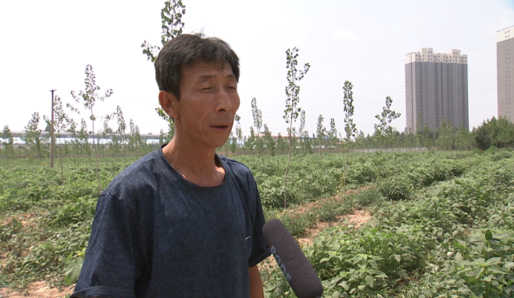 香河县钳屯镇土果途益种植专业合作社负责人 杨长生