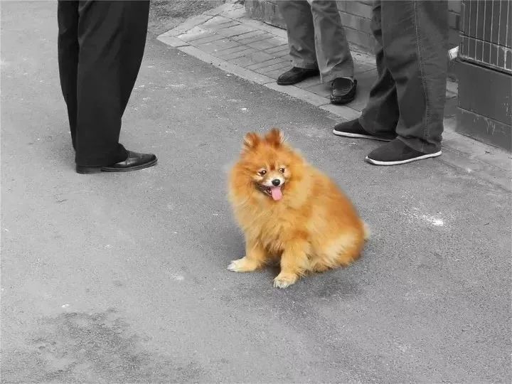 胡同|一秒回到过去！北京胡同的回忆，您都忘了吧？