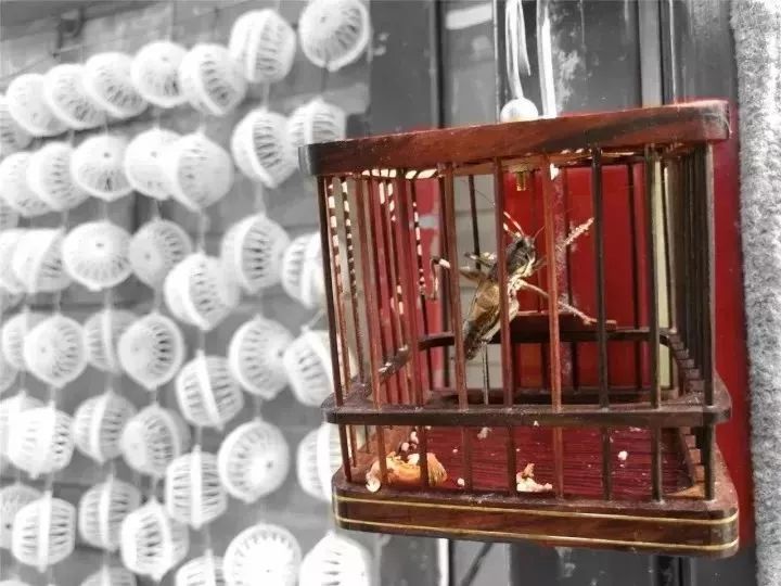 胡同|一秒回到过去！北京胡同的回忆，您都忘了吧？