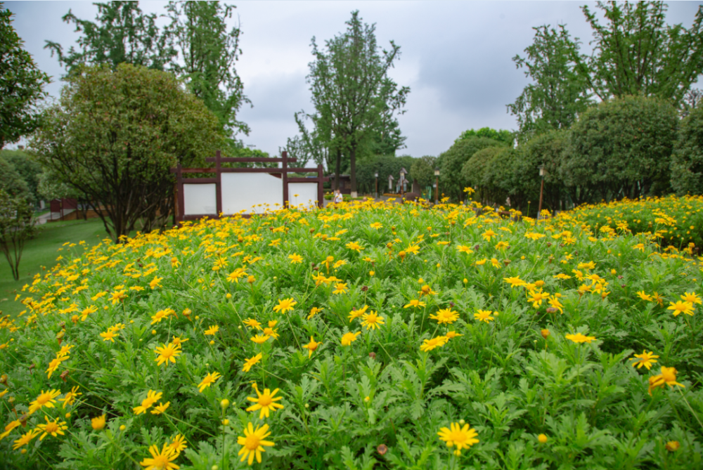 百花争艳绿意满园鸿恩寺公园