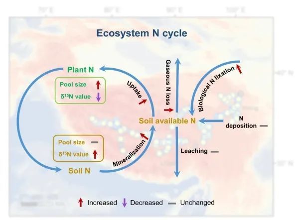 冻土区|研究人员发现青藏高原冻土区植被氮限制呈增强趋势