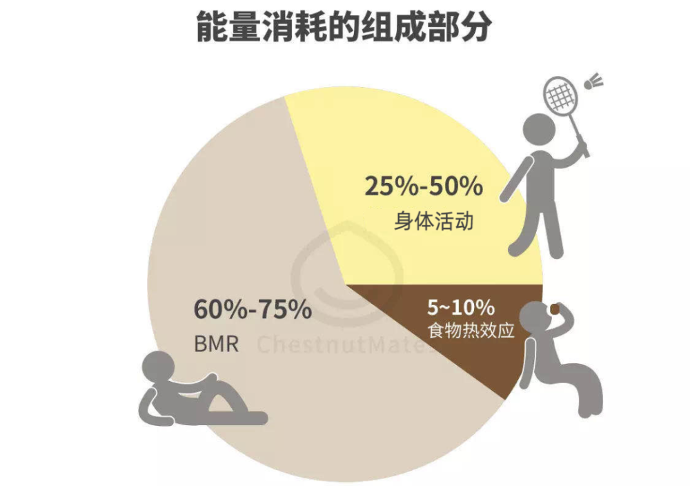 健康减肥食谱_减肥食谱健康科学_减肥食谱健康减肥