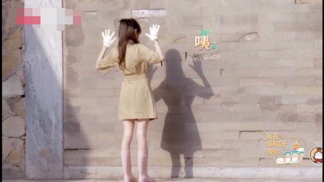 郑爽|郑爽最新综艺造型曝光，穿黄色连衣裙明艳动人，大长腿吸睛