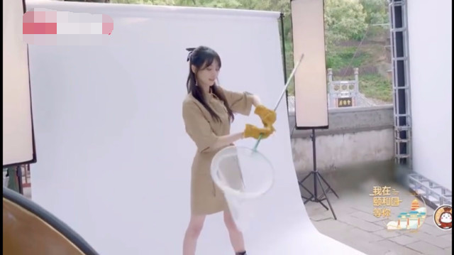 郑爽|郑爽最新综艺造型曝光，穿黄色连衣裙明艳动人，大长腿吸睛