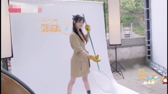 郑爽|郑爽最新综艺造型曝光，穿黄色连衣裙明艳动人，大长腿吸睛