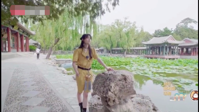 郑爽|郑爽最新综艺造型曝光，穿黄色连衣裙明艳动人，大长腿吸睛