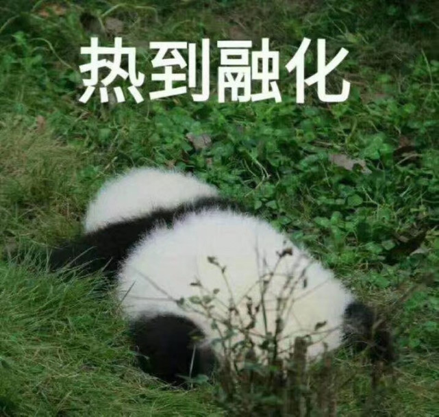 我们小时候为何不怕热最后一个原因太诛心了