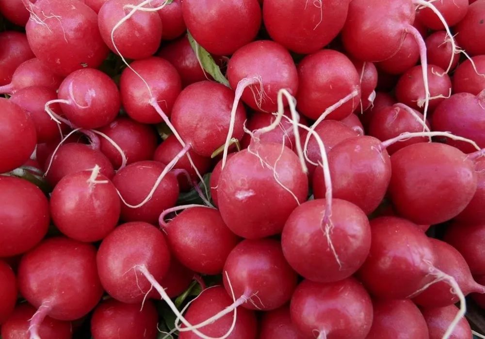 舌尖上的非遗 仪陇胭脂萝卜