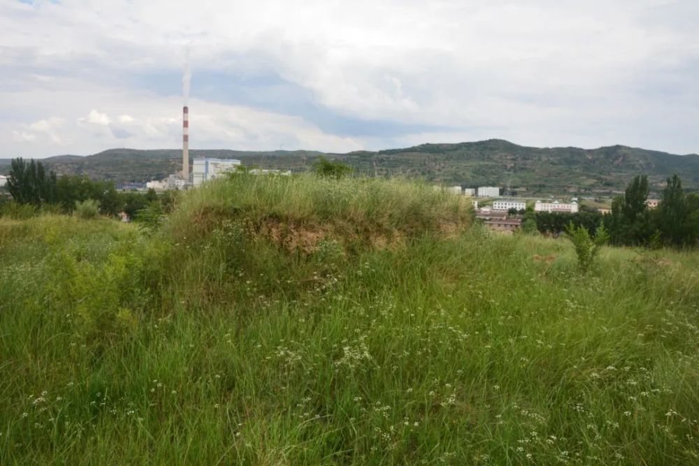 遗址|崇信县丈八寺遗址抢救性发掘简报