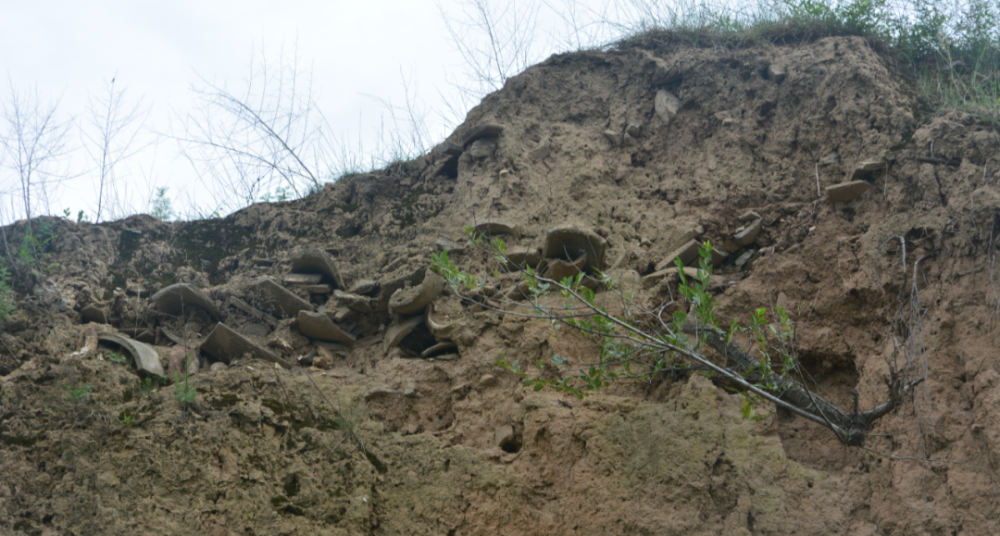 遗址|崇信县丈八寺遗址抢救性发掘简报