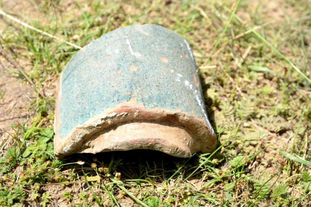 遗址|崇信县丈八寺遗址抢救性发掘简报