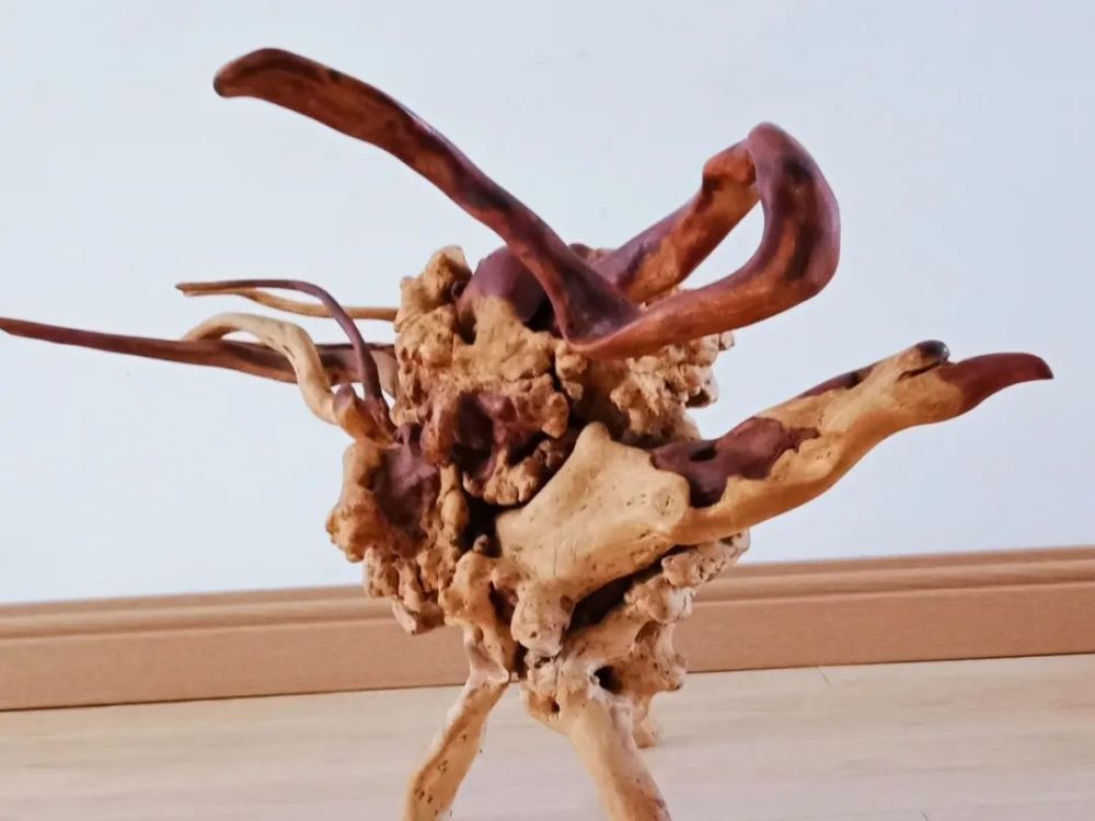 陈世印|陈世印的雕刻时光