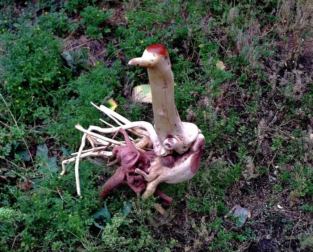 陈世印|陈世印的雕刻时光