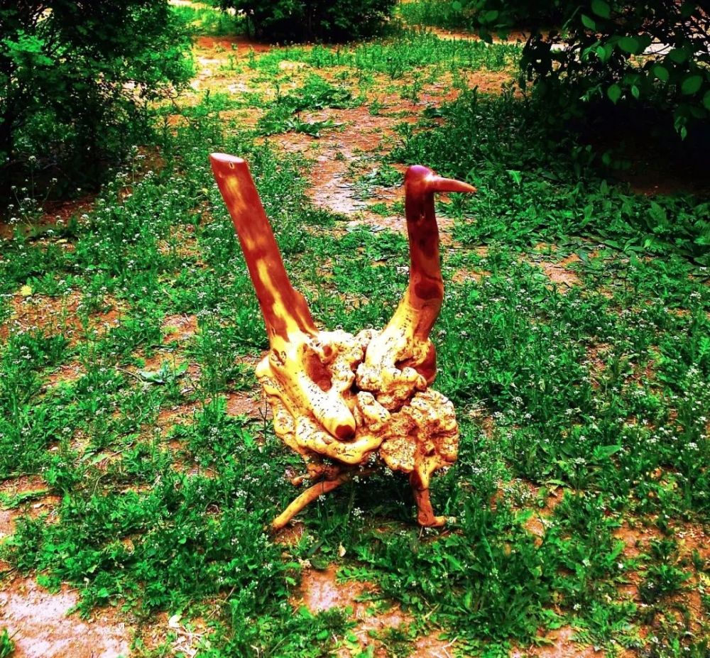 陈世印|陈世印的雕刻时光