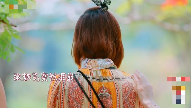 张歆艺|39岁张歆艺因二胎压力大？当众泪崩惹人怜，生一胎时已是高龄产妇