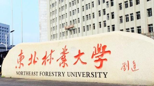 国内面积最大的大学 谈恋爱都像是异地恋 相当于85个清华