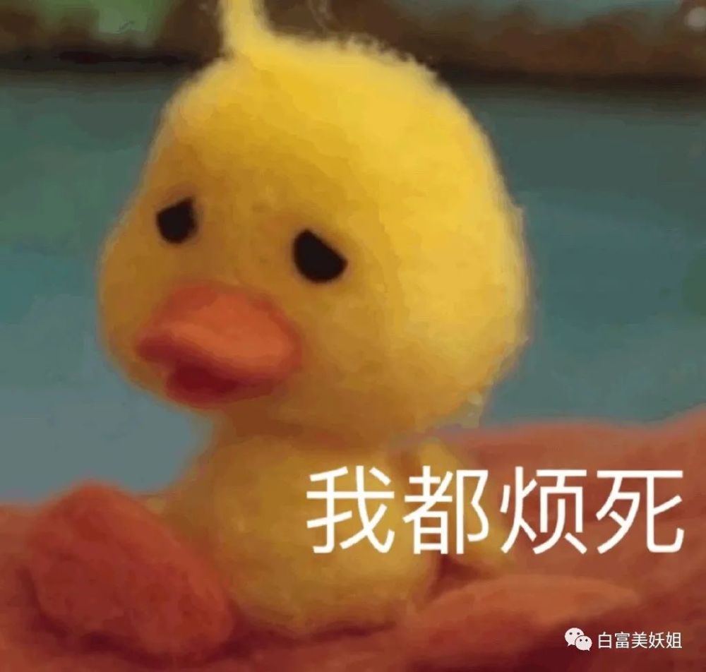 范冰冰|晚晚史诗级翻车！艳压范冰冰心机被戳破，10年旧照复盘不忍看…