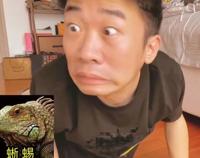 全靠蹭妈妈的热度出名可遇上这样的杨迪想不笑都难