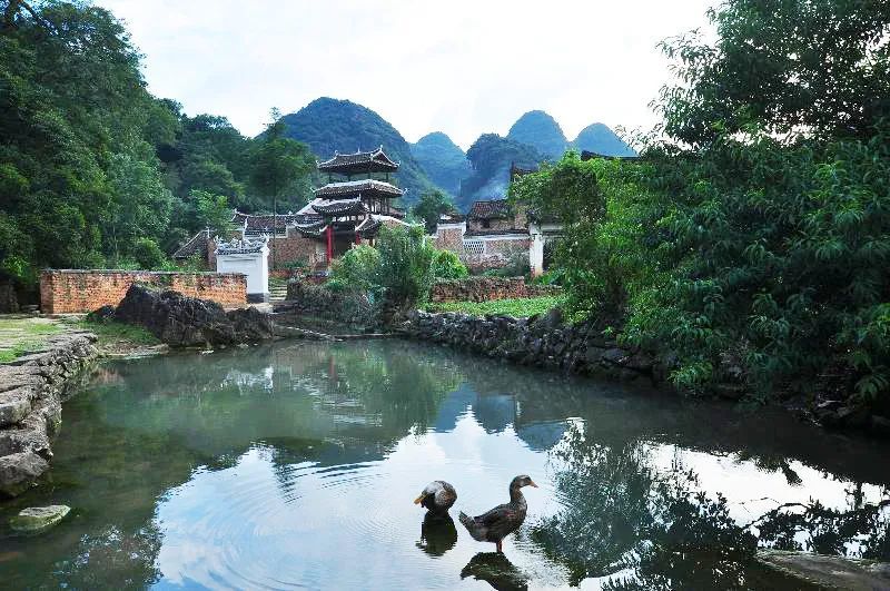 胡彬彬|胡彬彬：村落美了，教授老了