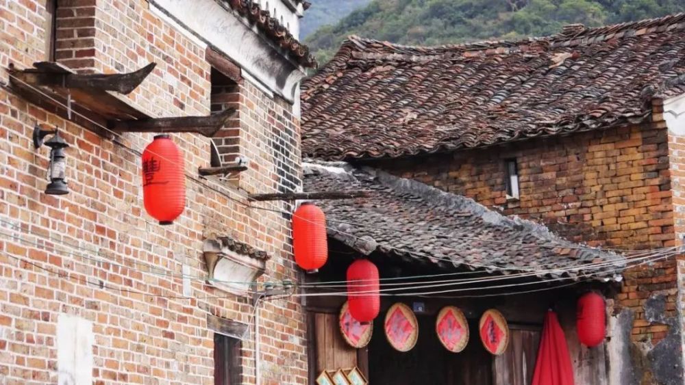 胡彬彬|胡彬彬：村落美了，教授老了