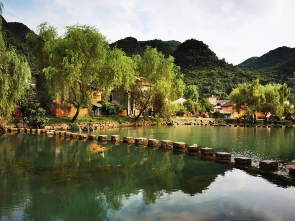 胡彬彬|胡彬彬：村落美了，教授老了