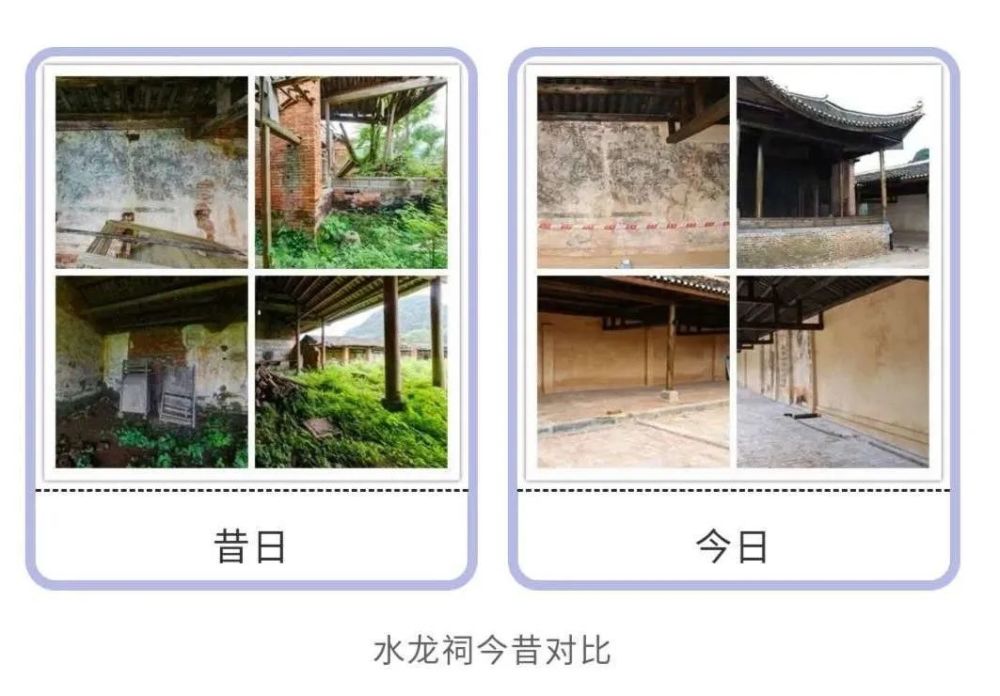 胡彬彬|胡彬彬：村落美了，教授老了