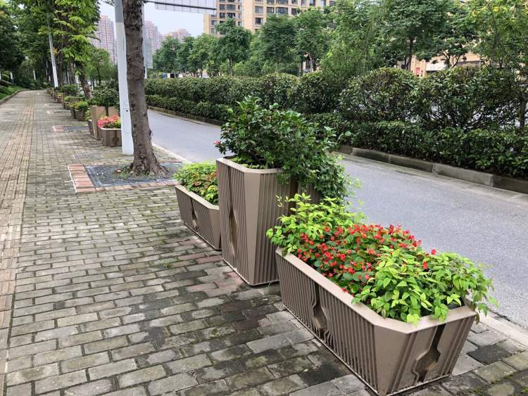 上海|魔都超长梅雨季，花花草草也怕霉，筛选品种、打好“预防针”很重要！